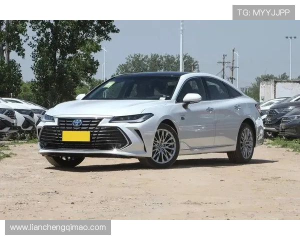 2.0L的5米大车，不到20万起的亚洲龙，动力够用吗？